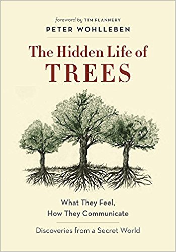 The Hidden Life of Trees by Peter Wohlleben